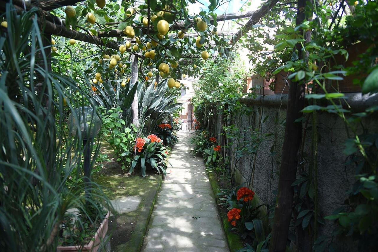 Anthea Sorrento Bed and Breakfast Exteriör bild